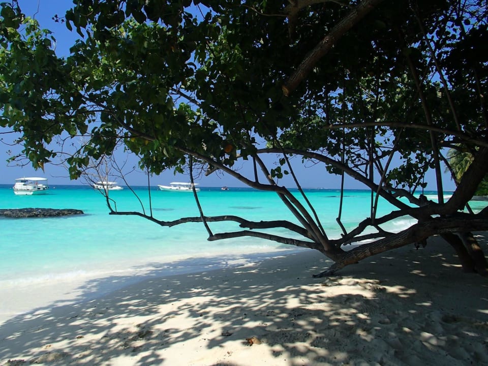 Traumhafter Strand Kuramathi Maldives