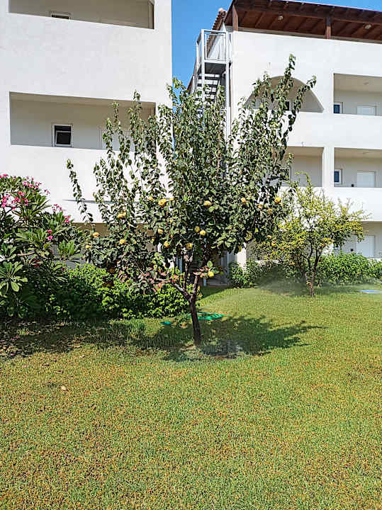 Gartenanlage Myrina Beach Hotel