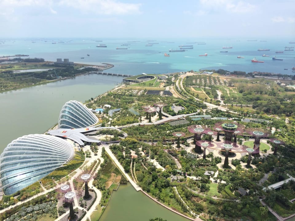 Ogród / park za hotelem Marina Bay Sands