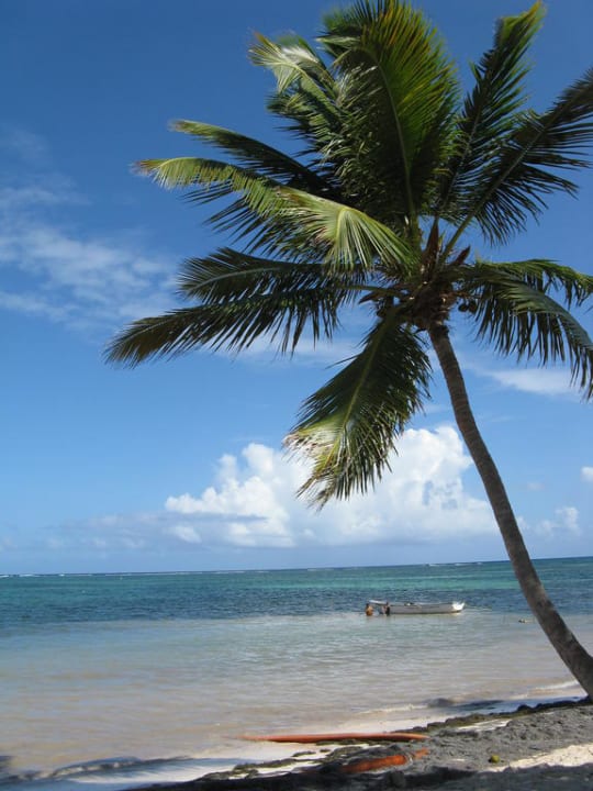 Palme und Meer Catalonia Punta Cana - All Inclusive