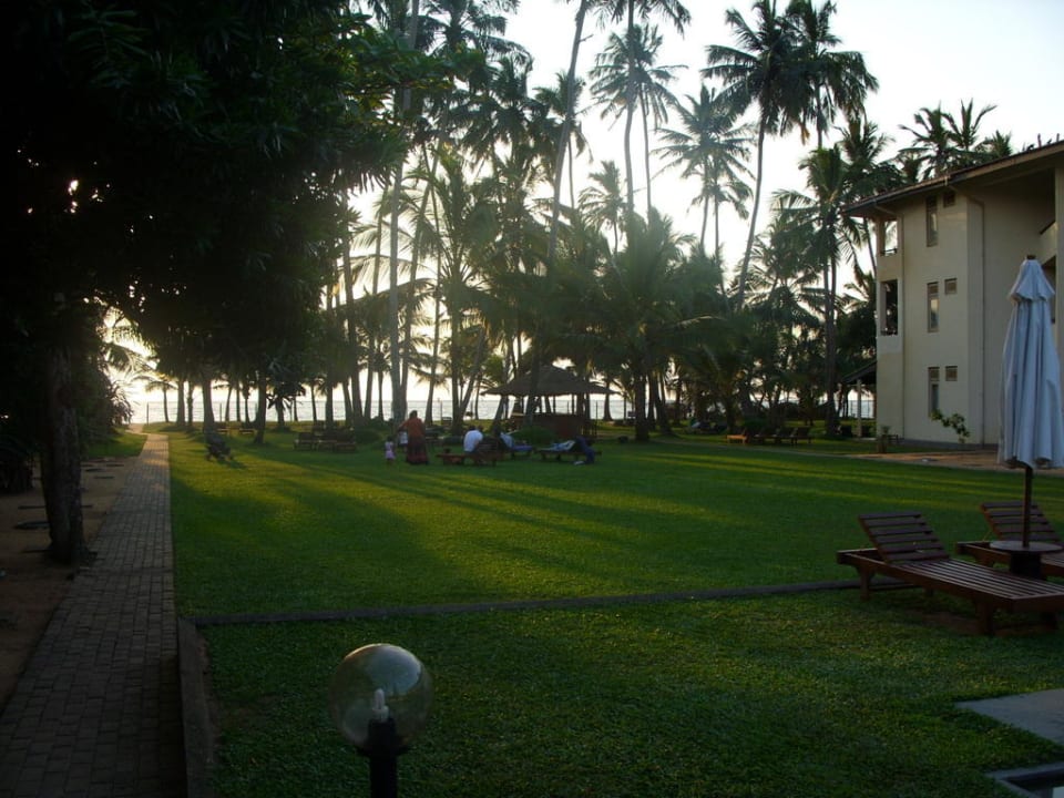 Widok z basenu Mermaid Hotel & Club