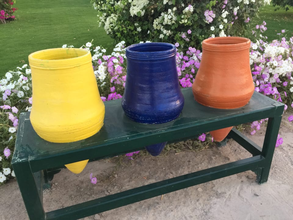 Sonstiges Desert Rose