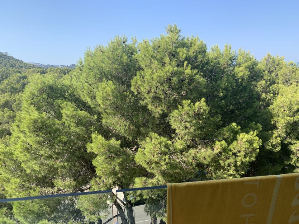 Zimmer allsun Hotel Bella Paguera