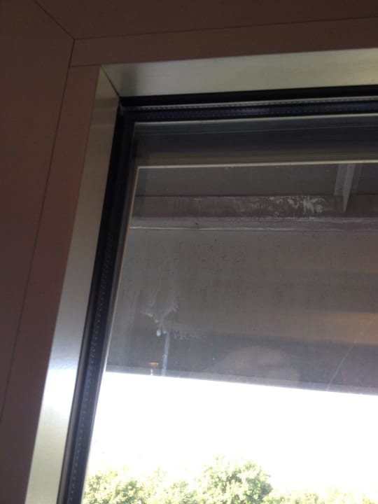 "frisch geputzt" Cliff Hotel Rügen