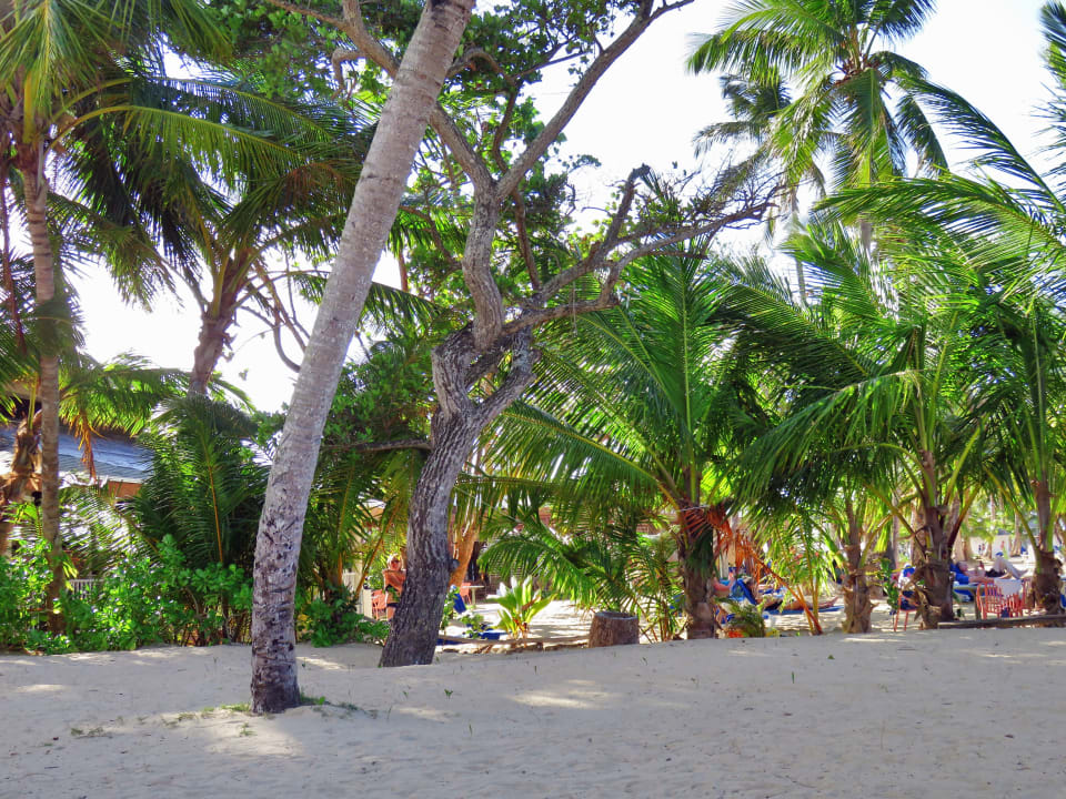 Strand Bahia Principe Grand El Portillo