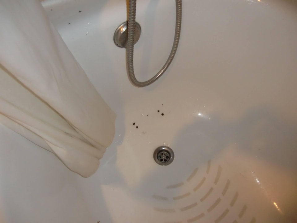 Badewanne Schimmel  Blau varadero - Adults only