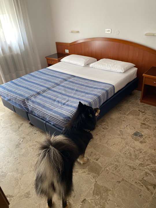 Zimmer Hotel Miramare