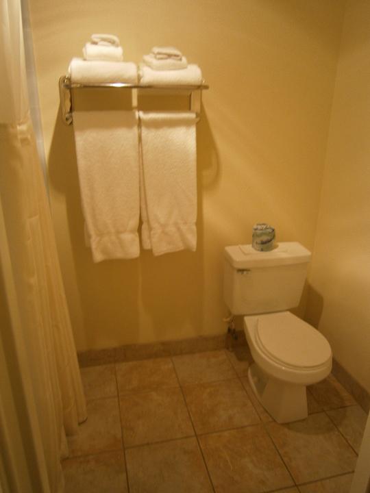 Bad Best Western Hotel Royal Oak