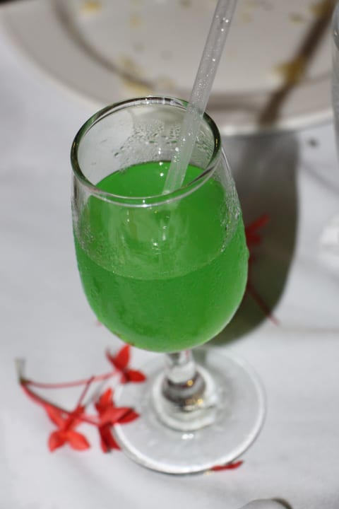 Gastro Wyndham Alltra Samana