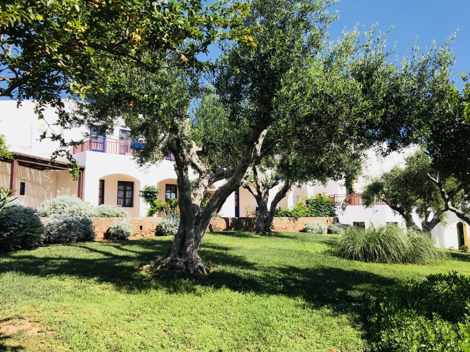 Gartenanlage Creta Maris Resort