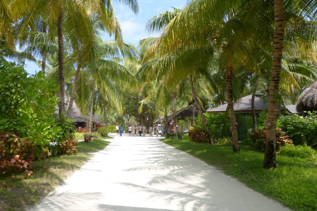 Begrüßung Kuredu Island Resort & Spa