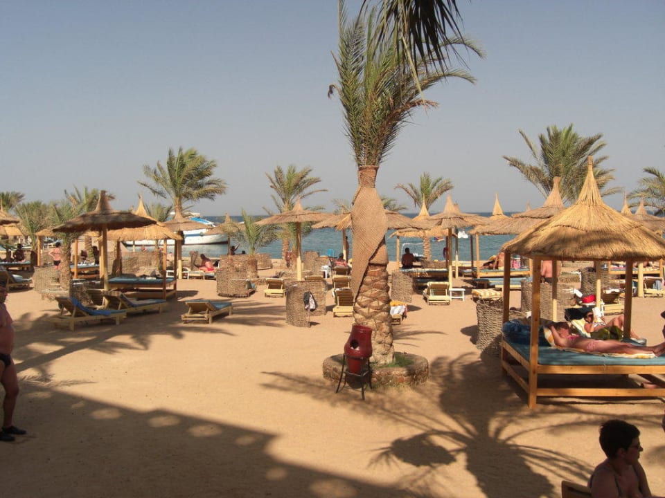 Der Strand beim Beach Albatros Beach Albatros Resort