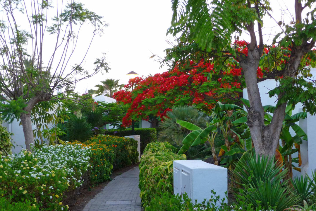 Ruhige Anlage Bungalows Cordial Sandy Golf