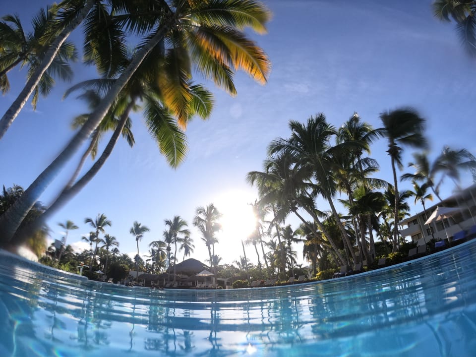 Pool Catalonia Punta Cana - All Inclusive