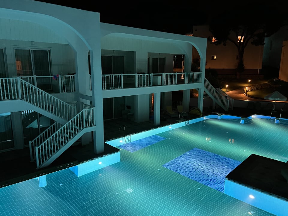 Zimmer Papillon Zeugma Relaxury