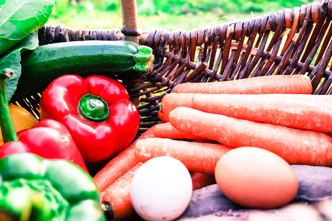 Sonstiges Quinta dos Cochichos - Country Houses