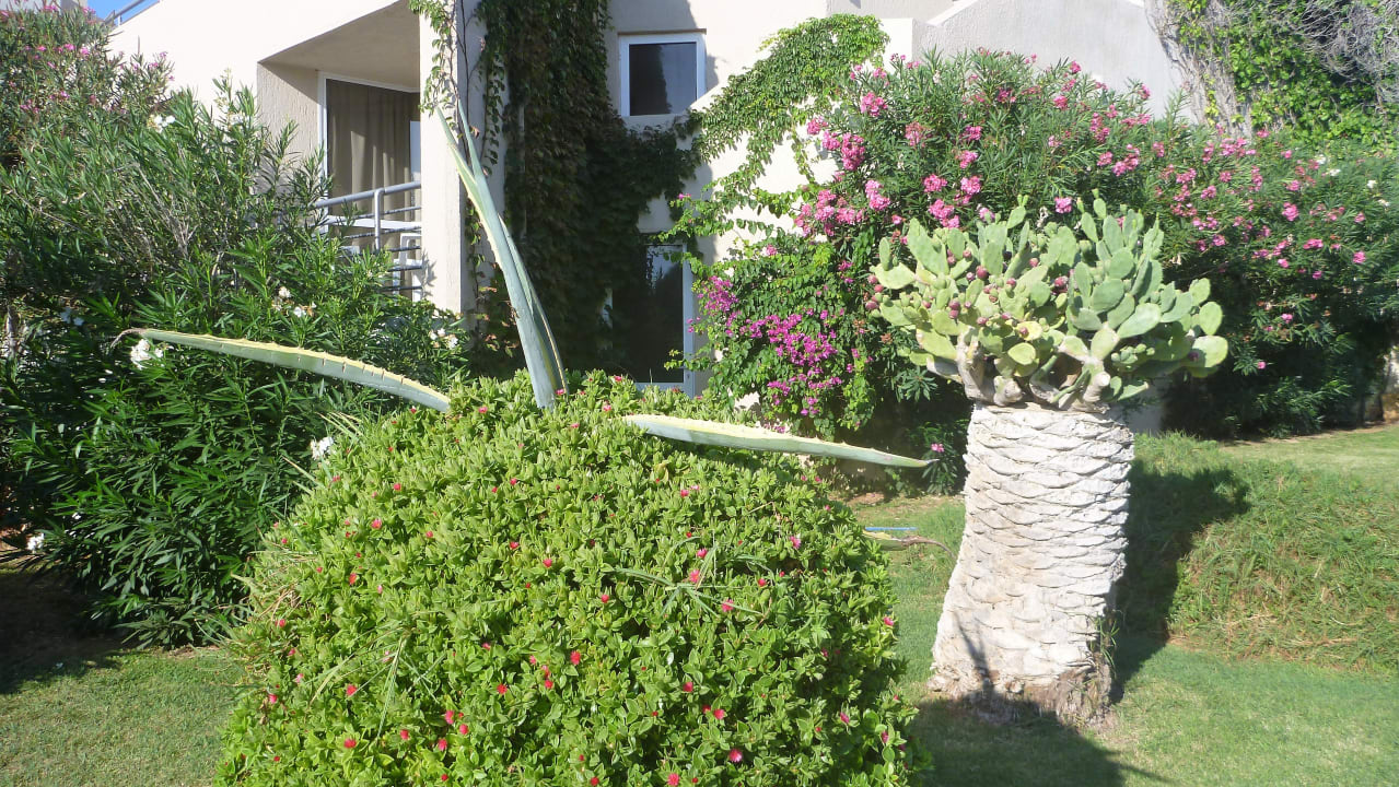 Sonstiges Santa Marina Beach