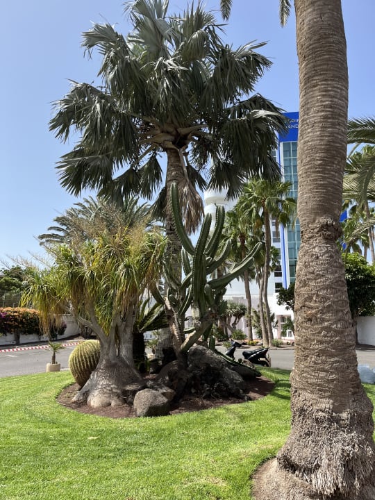 Außenansicht ROBINSON JANDIA PLAYA