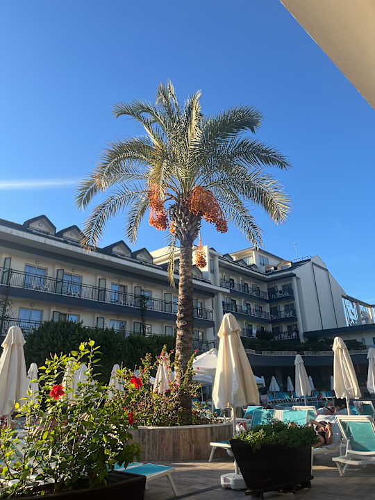 Außenansicht Dream World Palace Hotel