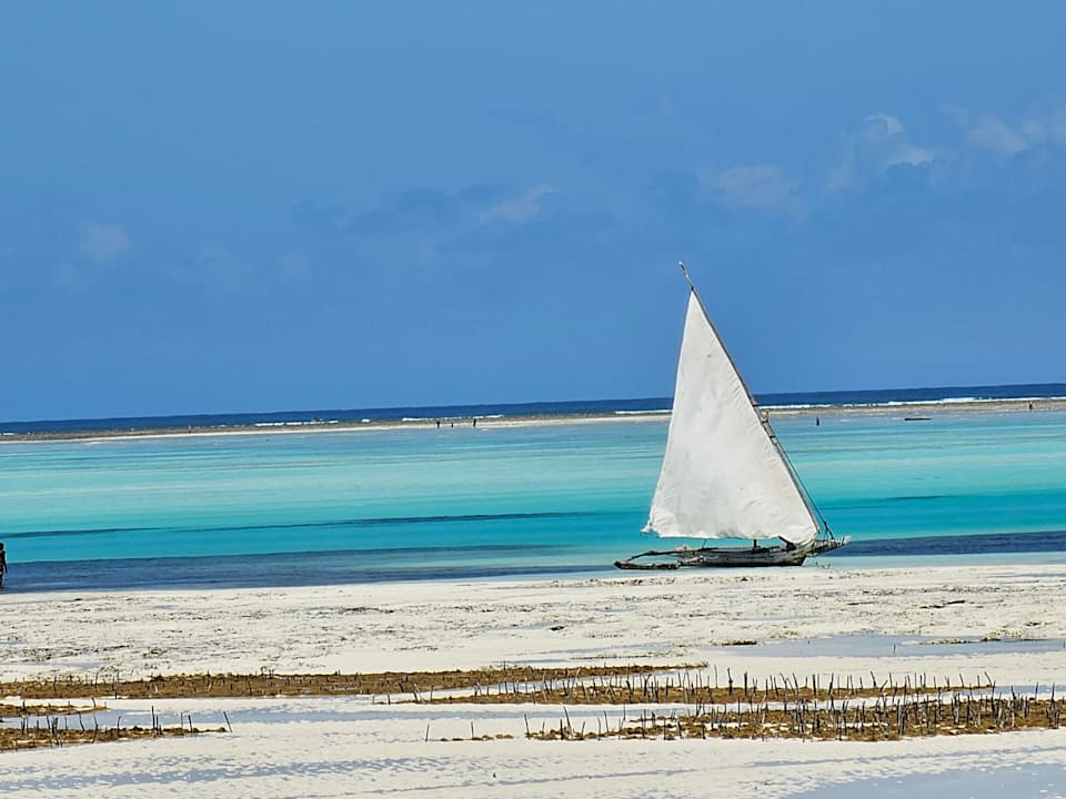 Ausblick Reef & Beach Resort