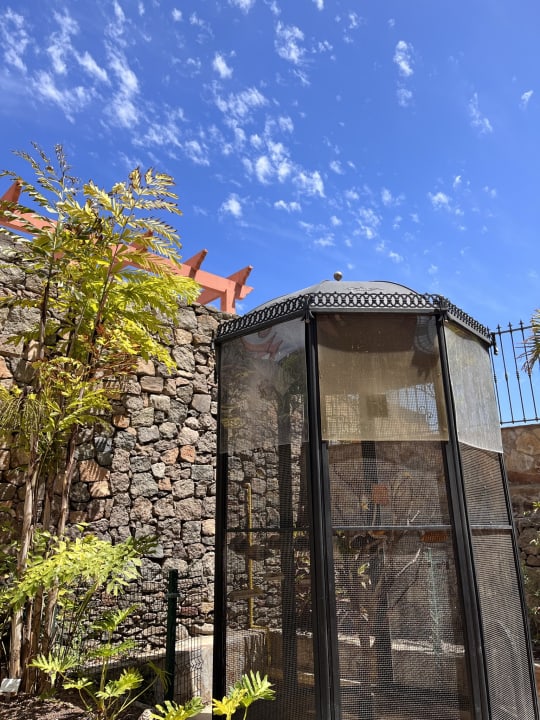 Gartenanlage Hotel Cordial Mogán Playa