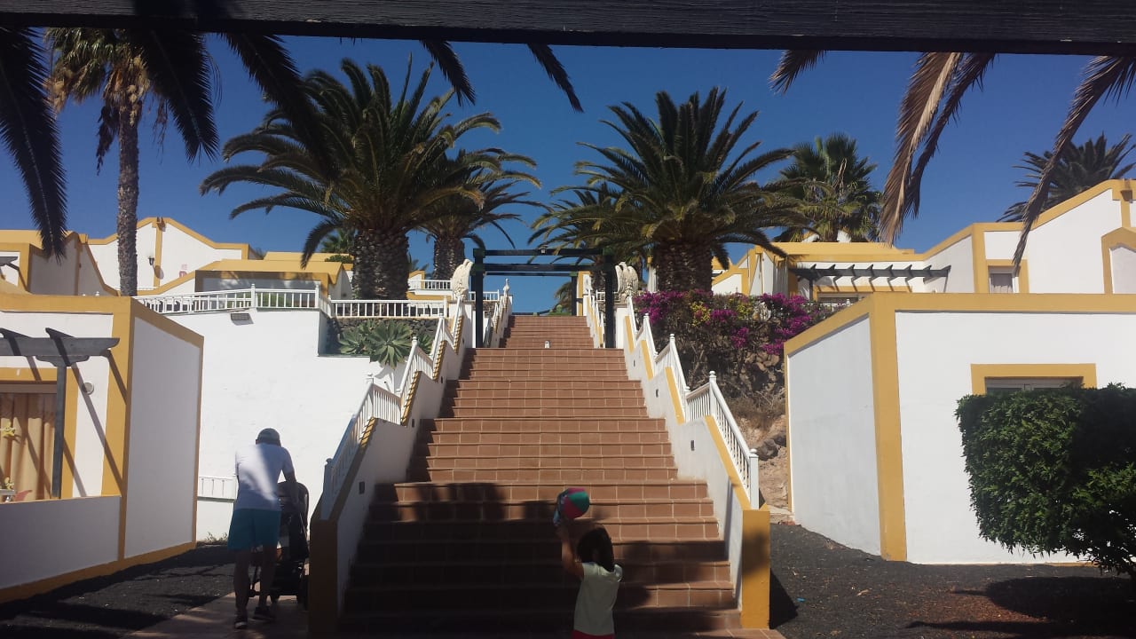 Gartenanlage MP Club Caleta Dorada