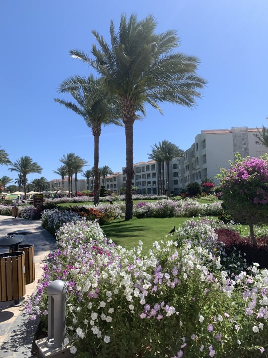Außenansicht Pickalbatros Dana Beach Resort - Hurghada