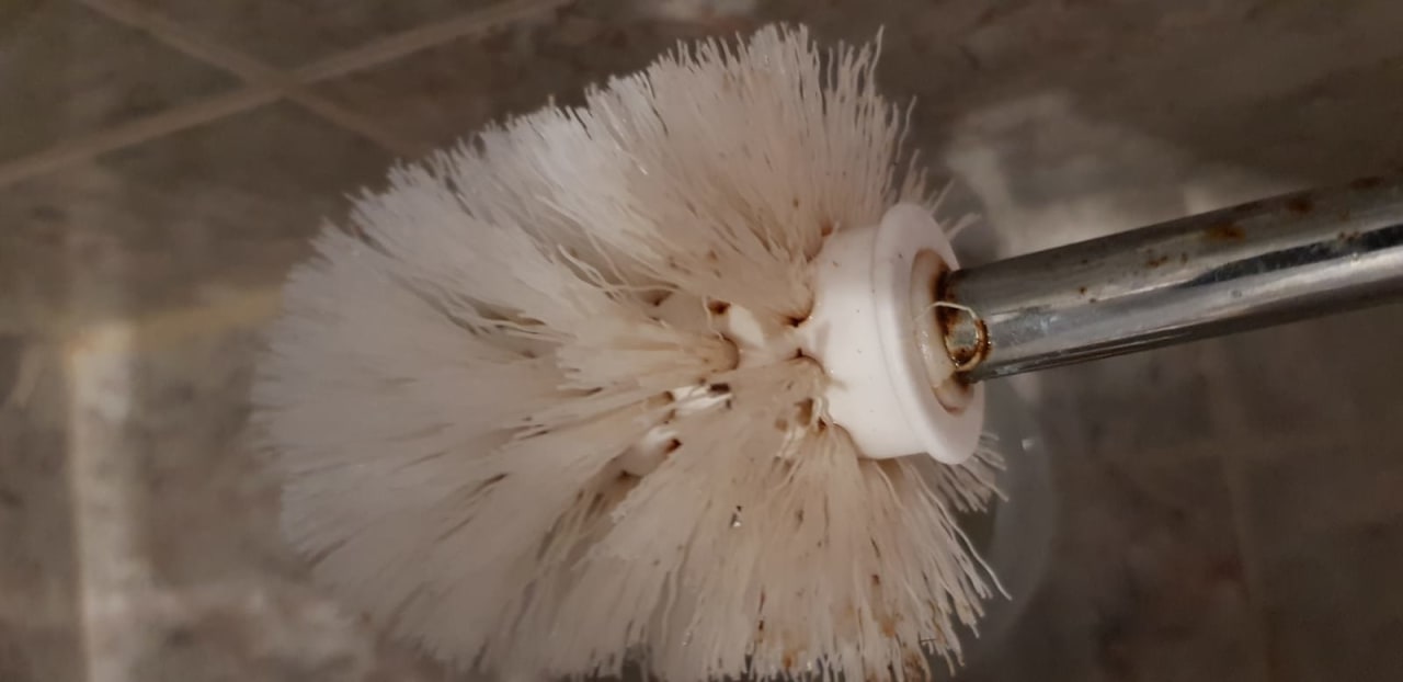 Zimmer Hotel Aktinia