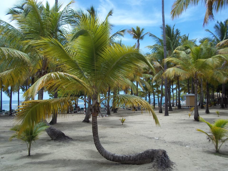 Strand Playabachata Hotel