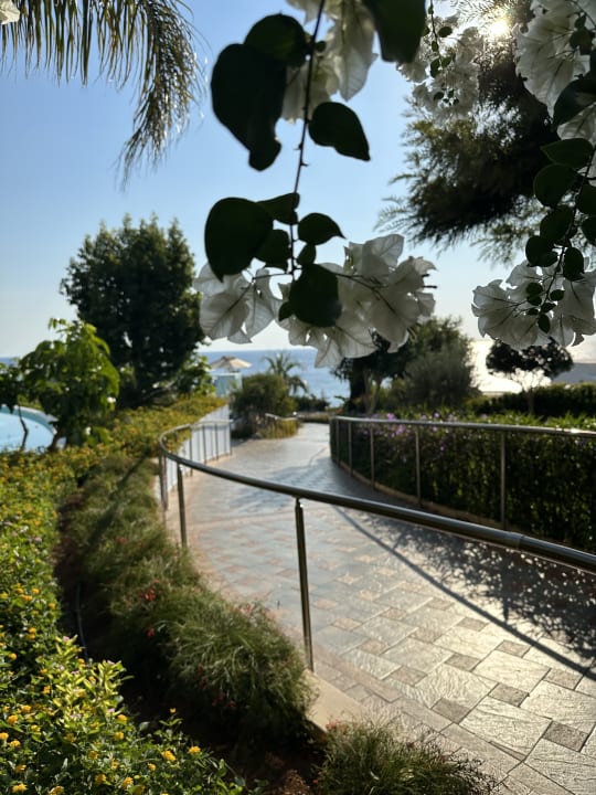 Gartenanlage Atrium Prestige Thalasso Spa Resort & Villas