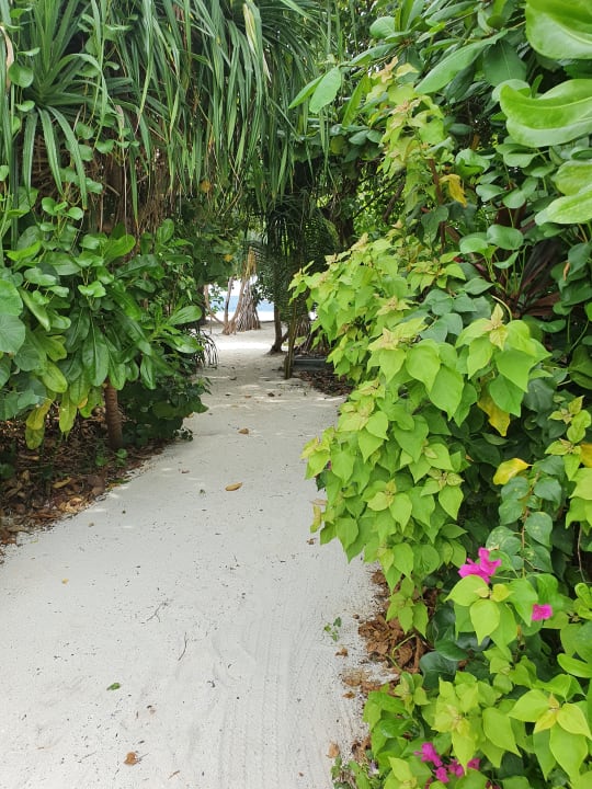 Gartenanlage The Westin Maldives Miriandhoo Resort