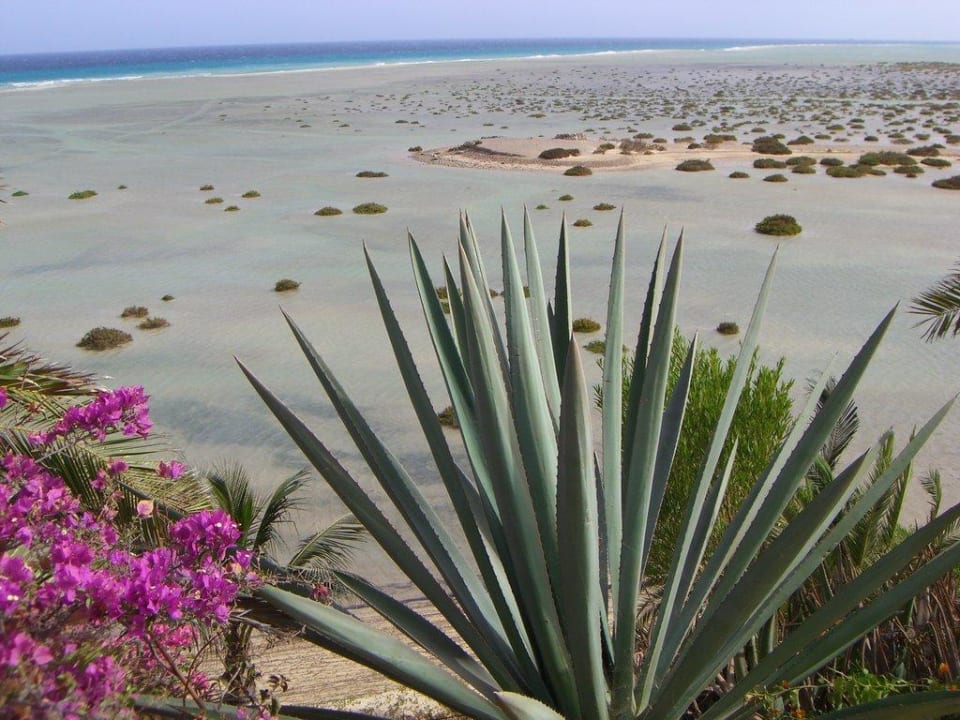 Przypływ Paradisus by Meliá Fuerteventura