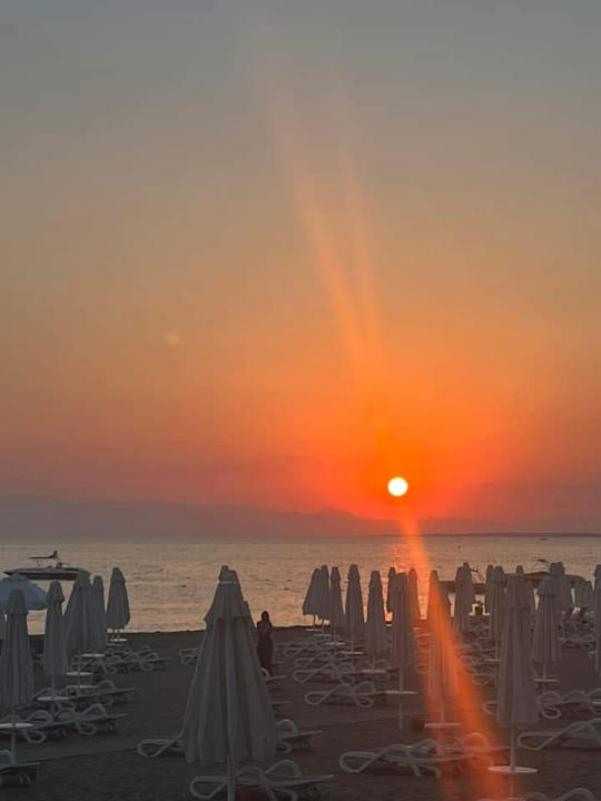 Strand PALOMA Perissia