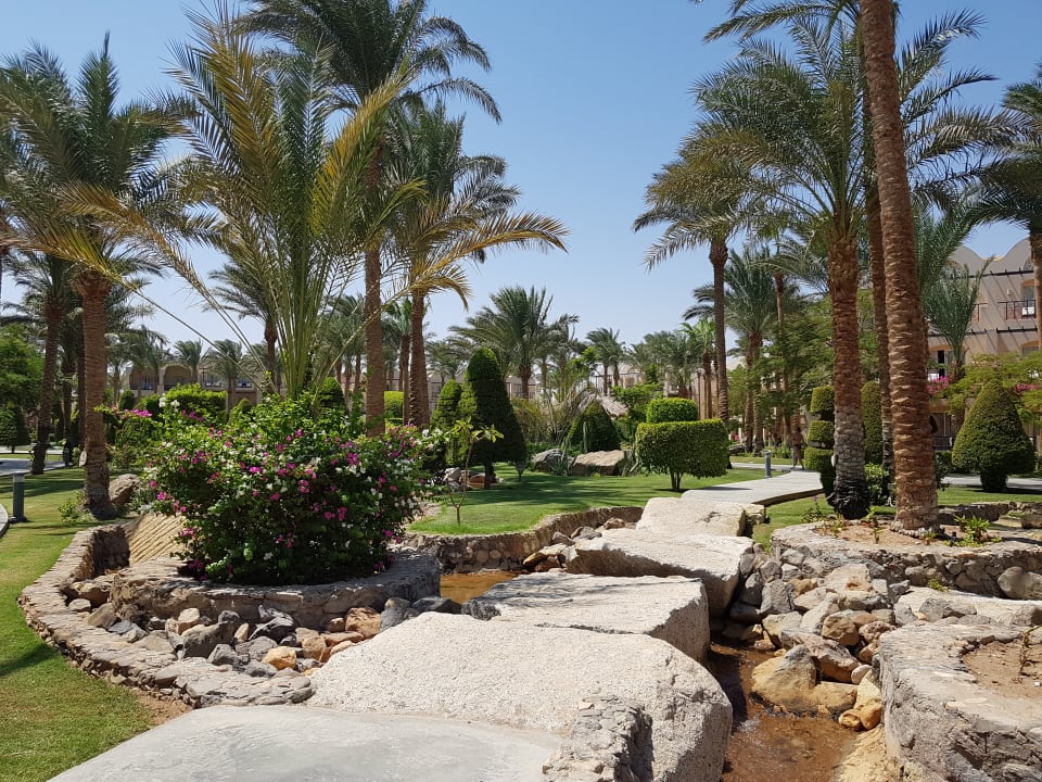 Gartenanlage Hotel JAZ Makadi Star & Spa