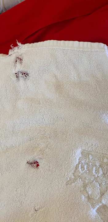 Zimmer Bahía del Duque