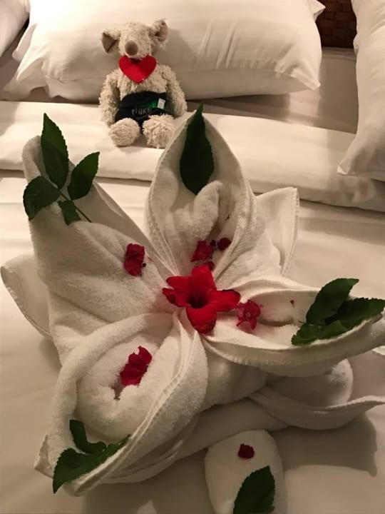 Zimmerservice Serenity Alpha Beach