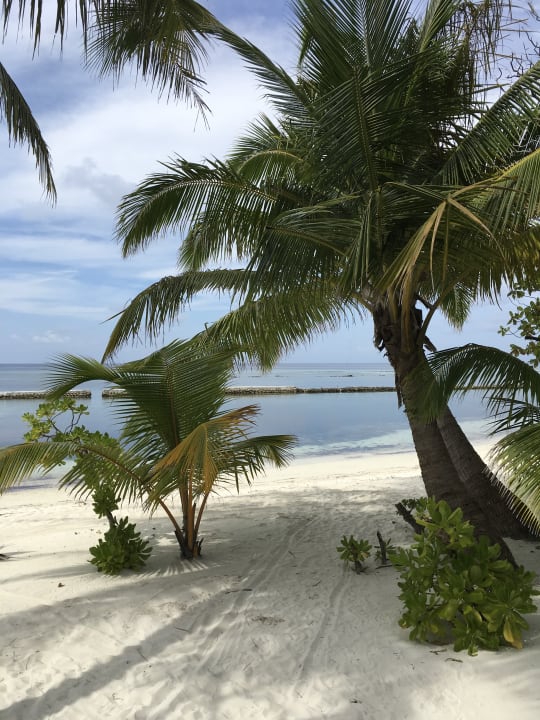 Außenansicht Kuredu Island Resort & Spa