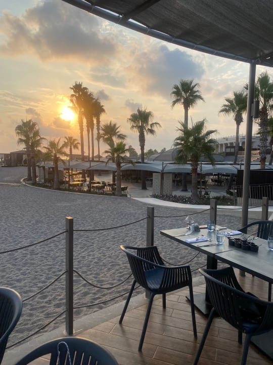 Gastro TUI BLUE Palm Garden