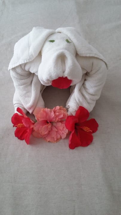 Zimmer Tropical Attitude - Adults only