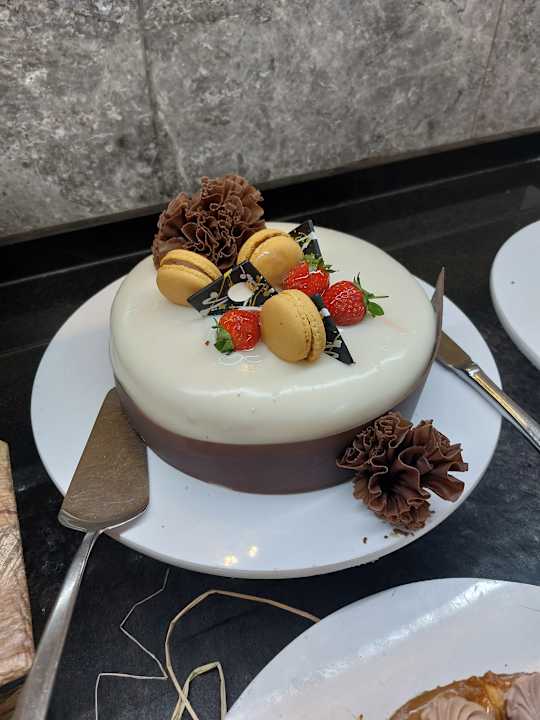 Gastro Seashell Vega