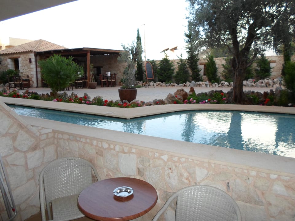 Blick von der Terrasse Cactus Royal