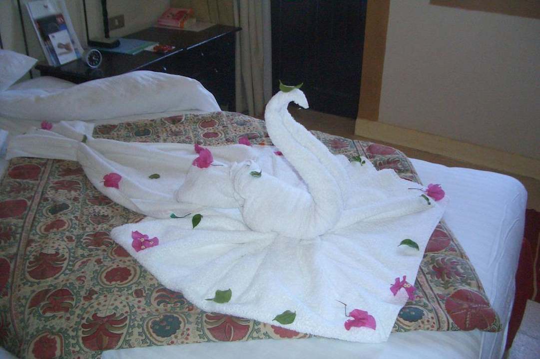 Schwan in voller Blüte Dawar El Omda - Adults only  (Im Umbau/Renovierung)