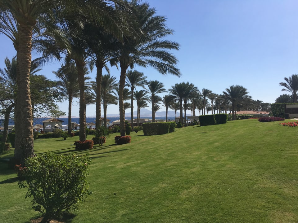 Gartenanlage Rixos Sharm El Sheikh Adults Only 18 +