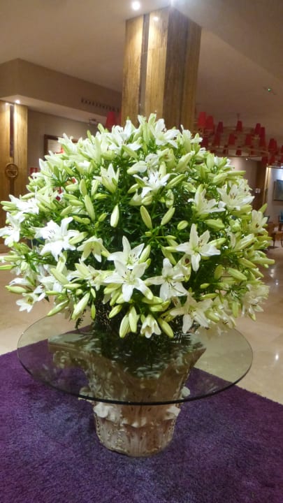 Lobby Bull Reina Isabel & Spa