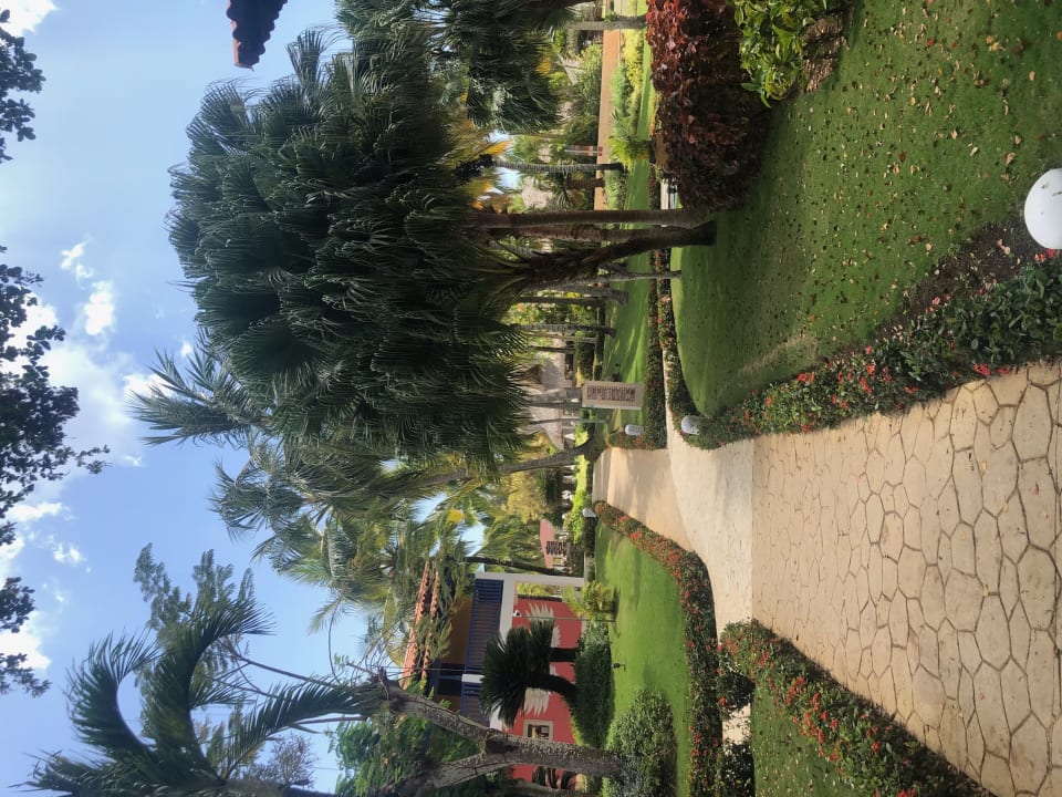 Gartenanlage Catalonia Royal La Romana - Adults only