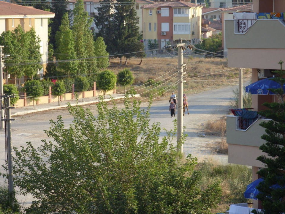 Hotelumgebung New Garden Hotel Side