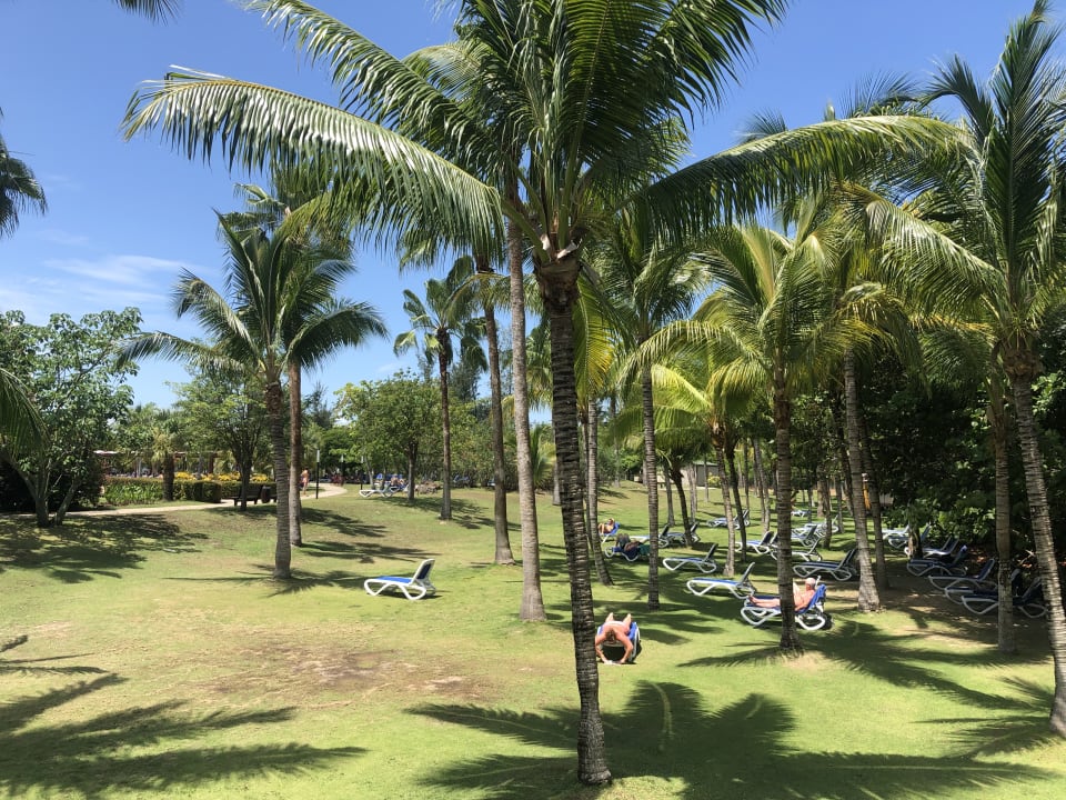 Gartenanlage Blau varadero - Adults only