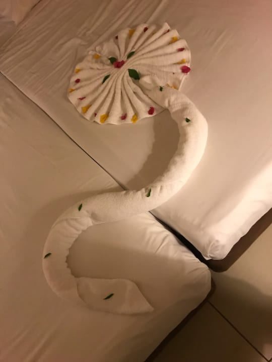 Zimmer Jaz Dar EL Madina