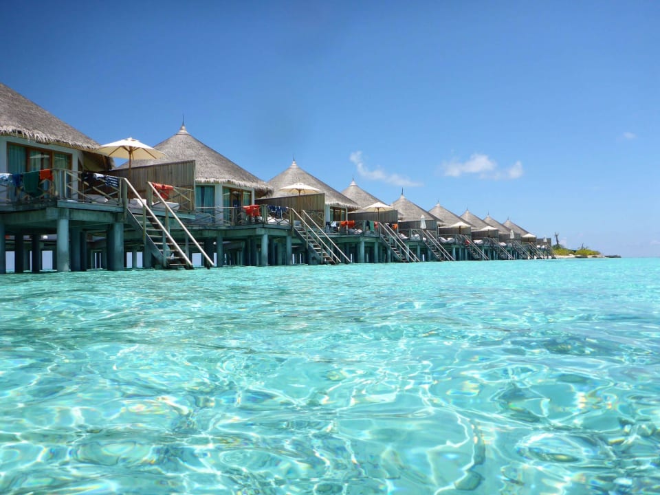 Beim Schnorcheln Safari Island Maldives
