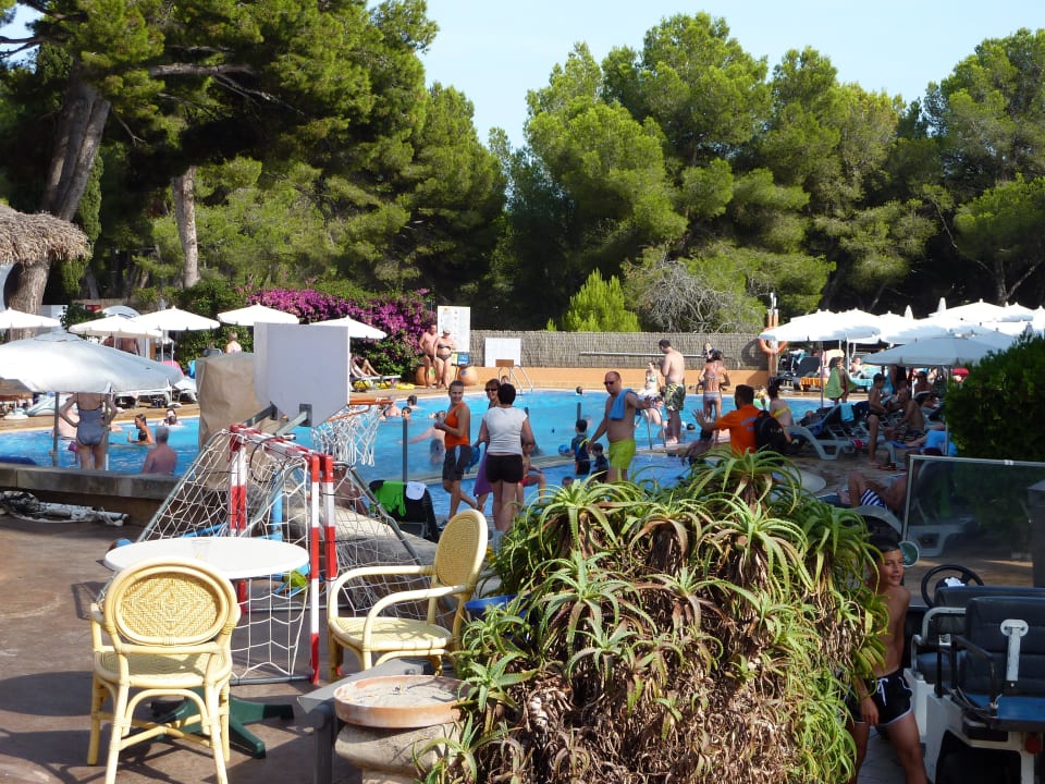 Half-Olympic-Pool mit Animation Hotel Beach Club Font de Sa Cala